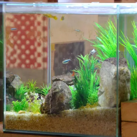 Ibis Budget Rouen Nord 2*